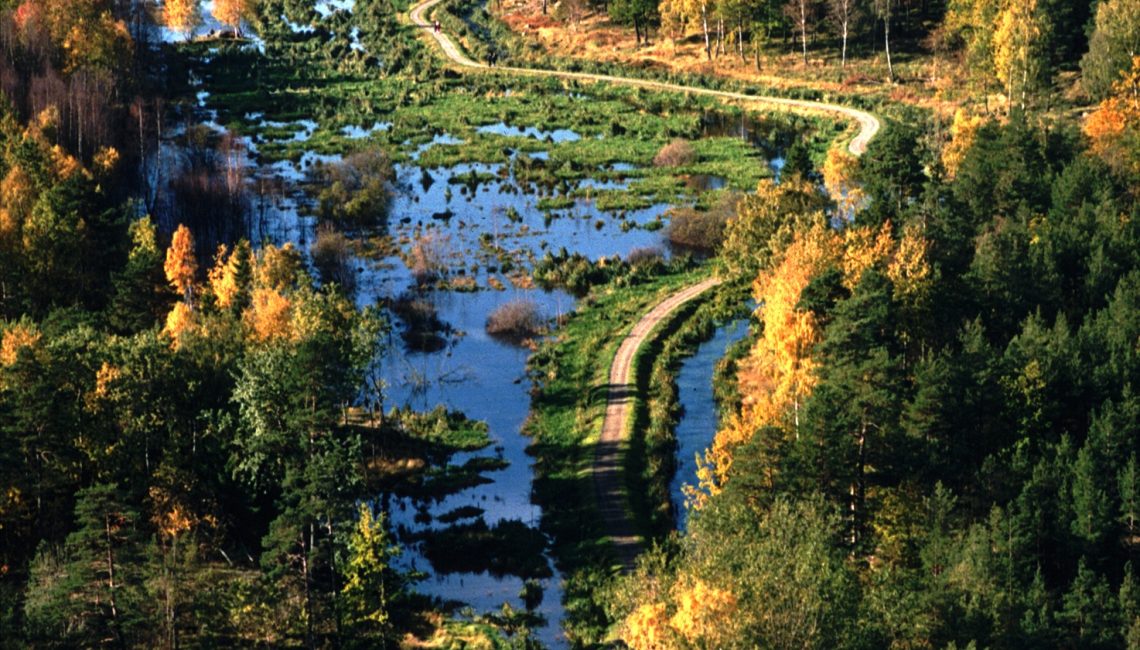 Btrannäs våtmark